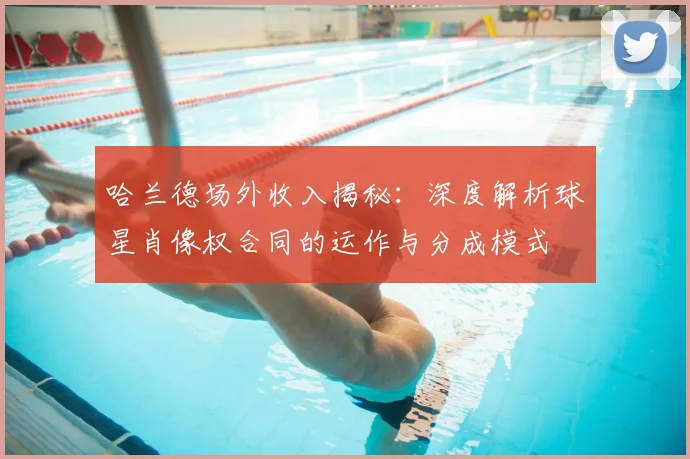 哈兰德场外收入揭秘:深度解析球星肖像权合同的运作与分成模式